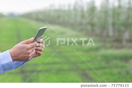 Beautiful garden in springtime, smart device for business control, quality of products 75779133