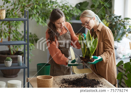 Two Young Women Potting Flowers Two Young Women Potting Flowers 75779274