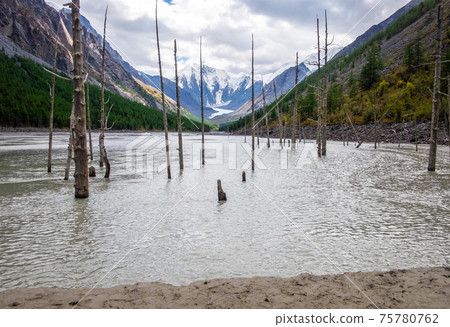Mountain landscape. The dead mountain lake of Maash in the Altai Republic. 75780762