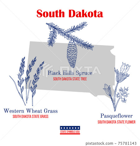 South Dakota. Set of USA official state symbols - Stock Illustration ...
