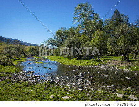 Landscape. Green glade on the river bank. Landscape. Green glade on the river bank. 75781499