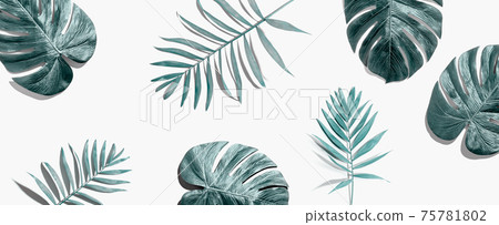 Tropical palm leaves from above Tropical palm leaves from above 75781802