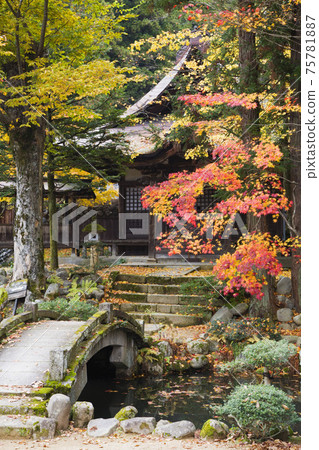 STOCK PHOTOGRAPHY IMAGES STOCK PHOTOGRAPHY IMAGES 75781887