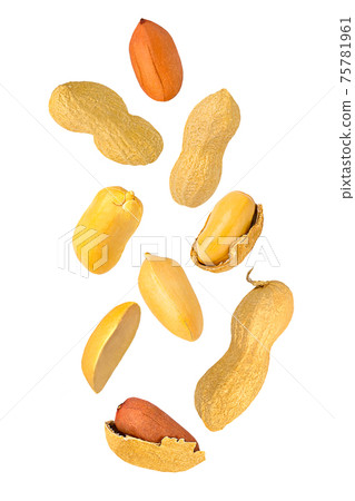 Falling down peanut isolated on white background 75781961