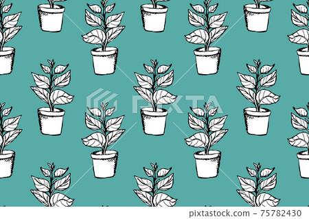Outlined ficus plant pot vector seamless pattern Outlined ficus plant pot vector seamless pattern 75782430