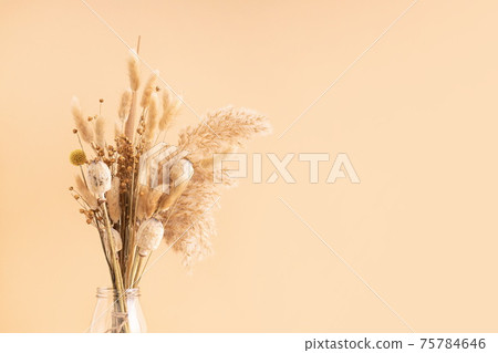Bouquet of beige dried flowers in a glass vase on beige background. Bouquet of beige dried flowers in a glass vase on beige background. 75784646