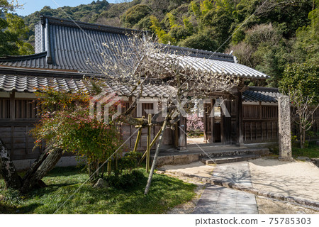 Iwakuni Autumn Leaves Valley Tosenji Sanmon 75785303