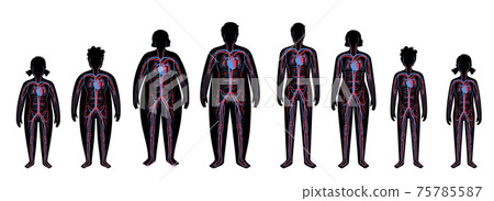 Blood system in obese body 75785587