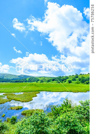 夏季八島長原濕地（八島長原濕地） 75786258