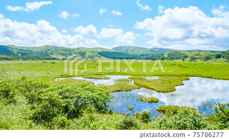 夏季八島長原濕地（八島長原濕地） 75786277