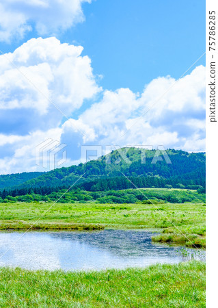 夏季八島長原濕地（八島長原濕地） 75786285