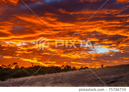[Natural scenery] Natural scenery of sunrise seen from Grampians National Park Australia 75786739
