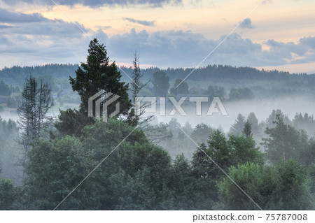 Morning fog in the countryside Morning fog in the countryside 75787008