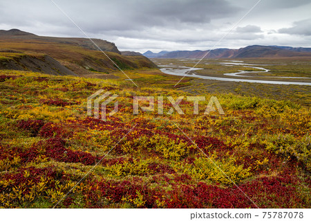 Autumn tundra 75787078