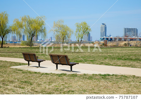 垂柳幼葉和藍天荒川川口元吾 垂柳幼葉和藍天荒川川口元吾 75787107