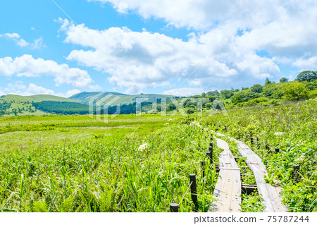 夏季八島長原濕地（八島長原濕地） 75787244