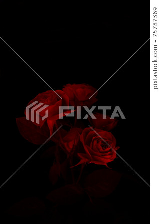 Illuminated bouquet of roses 75787369
