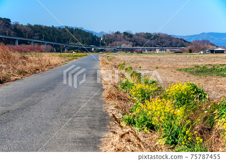 早春,Yoharu的花之野大橋附近的農業土地風光 早春,Yoharu的花之野大橋附近的農業土地風光 75787455