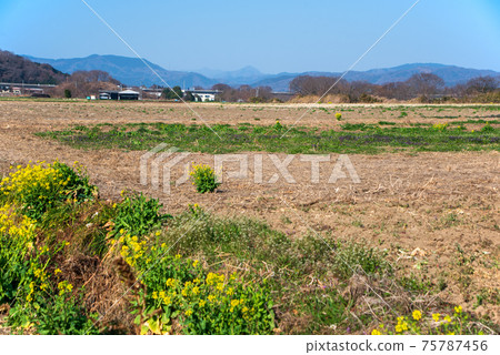 Agricultural land scenery in early spring, near Hanazono Bridge in Yoharu Agricultural land scenery in early spring, near Hanazono Bridge in Yoharu 75787456