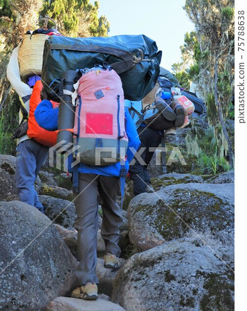 Climbing Kilimanjaro, Tanzania 75788638