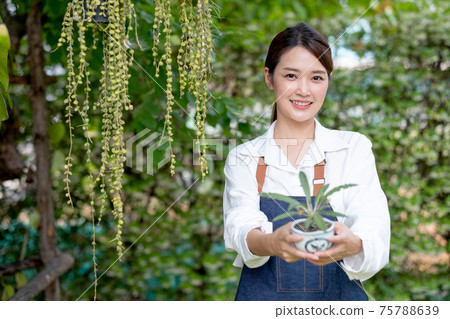 Beautiful Asian girl hold pot of plant and present to camera stand in front green wall in her house Beautiful Asian girl hold pot of plant and present to camera stand in front green wall in her house 75788639