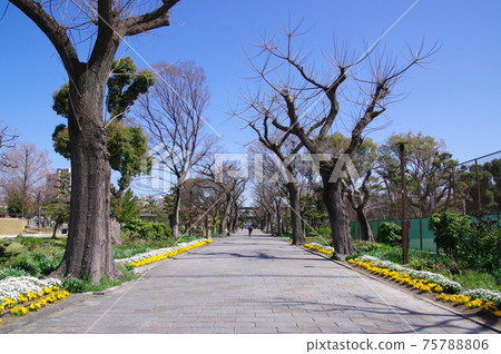 大阪市最古老的公園住吉公園 大阪市最古老的公園住吉公園 75788806
