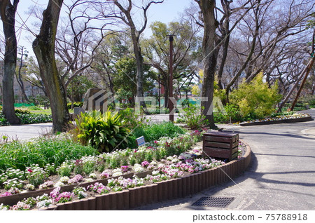 大阪市最古老的公園住吉公園 75788918