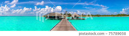 Water Villas (Bungalows) in the Maldives 75789038