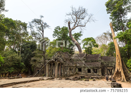 Ta Prohm temple in Angkor Wat Ta Prohm temple in Angkor Wat 75789235