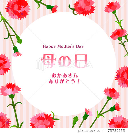 Mother's Day background frame carnation Mother's Day background frame carnation 75789255