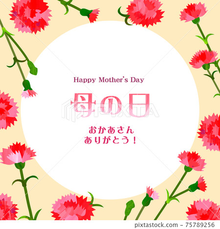 Mother's Day background frame carnation Mother's Day background frame carnation 75789256