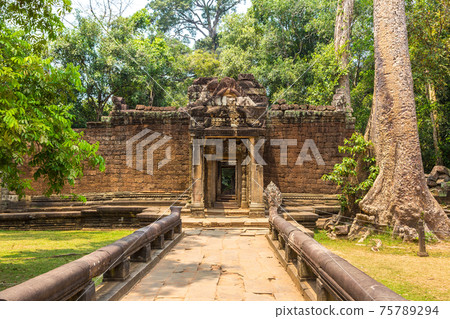 Ta Prohm temple in Angkor Wat 75789294