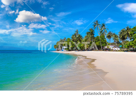 Tropical beach on Samui Tropical beach on Samui 75789395