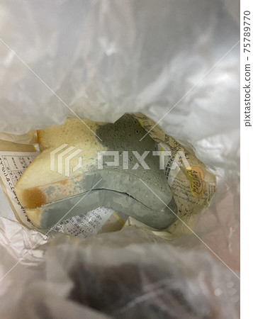 Mold molded bread 75789770