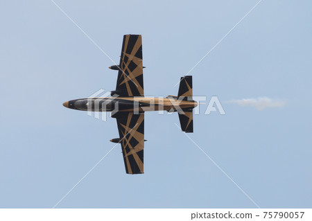United Arab Emirates Air Force Acrobat Team "Al Fulsan" United Arab Emirates Air Force Acrobat Team "Al Fulsan" 75790057