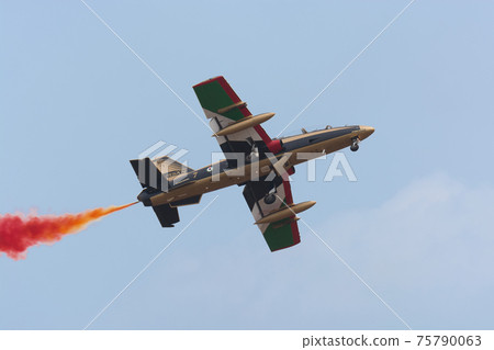 United Arab Emirates Air Force Acrobat Team "Al Fulsan" United Arab Emirates Air Force Acrobat Team "Al Fulsan" 75790063