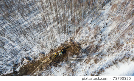 a tractor with machines in a forest in winter for cutting trees a tractor with machines in a forest in winter for cutting trees 75790530