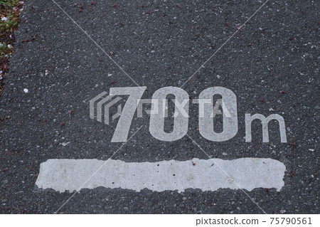 慢跑 奔跑 跑步 75790561