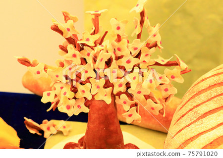 韓國食品韓國食品K食品傳統食品濟州食品 75791020