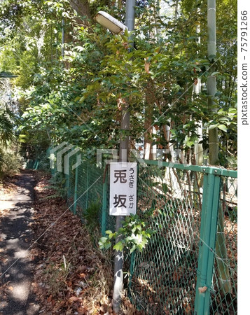 溝口久本本步行Masaka Usagizaka Akebonobashi 溝口久本本步行Masaka Usagizaka Akebonobashi 75791266