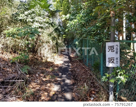 溝口久本本步行Masaka Usagizaka Akebonobashi 75791267