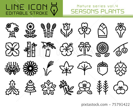 Line icon Nature系列第4卷季節性植物 Line icon Nature系列第4卷季節性植物 75791422