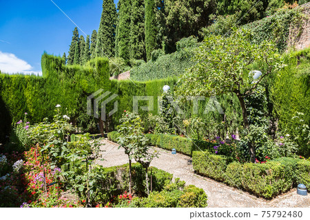 Gardens in Alhambra palace in Granada 75792480