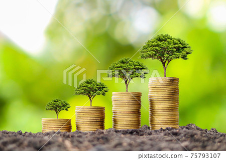 Coin pile with growing tree on top of coin, financial business success idea and money growth. 75793107