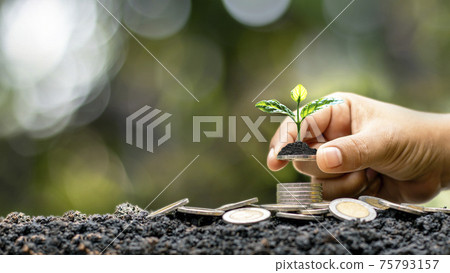 The human hand holds the coin, including the growing tree on the coin, the idea of financial growth from investment or return on business. The human hand holds the coin, including the growing tree on the coin, the idea of financial growth from investment or return on business. 75793157