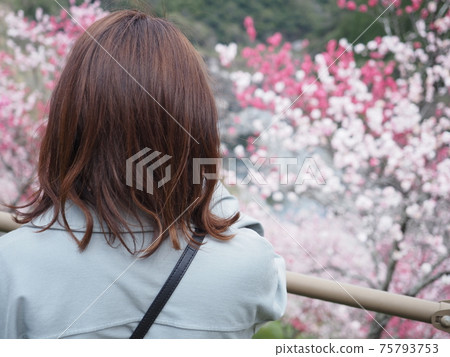 她看到花桃 她看到花桃 75793753