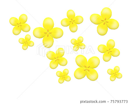 強姦開花 75793773