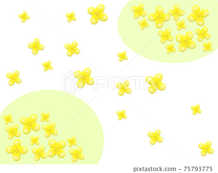 強姦開花 75793775