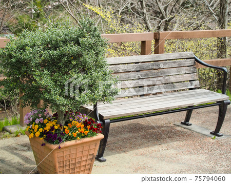 Flowerpots and wooden benches 75794060