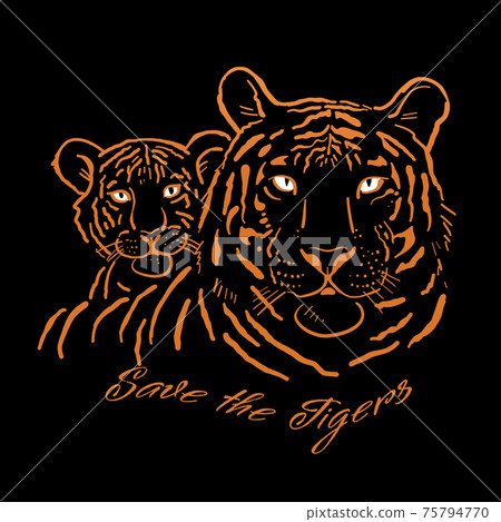 Tigress with cub. Tigers family for your design. Save the Tigers. Tigress with cub. Tigers family for your design. Save the Tigers. 75794770